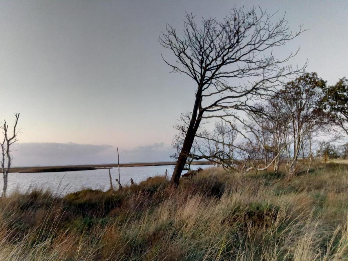 Haus Kuestenbrise - Urlaub Mit Hund An Der Kueste Mit Eigenen Garten, Sauna Und Gemuetlichen Kaminfeuer Schweiburg Bagian luar foto
