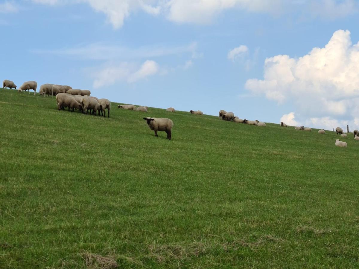 Haus Kuestenbrise - Urlaub Mit Hund An Der Kueste Mit Eigenen Garten, Sauna Und Gemuetlichen Kaminfeuer Schweiburg Bagian luar foto